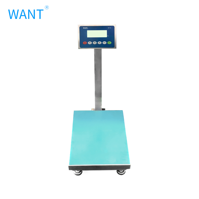 WT18-L 300kg 10g desktop electronic balance